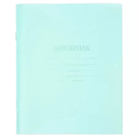 Дневник универсальн.  пласт. обл. "Бирюза" 40 л.