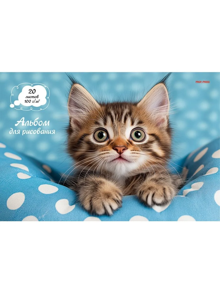 Альбом А4 20л скоба "Милый котик - 2" пл. 100 гр/м