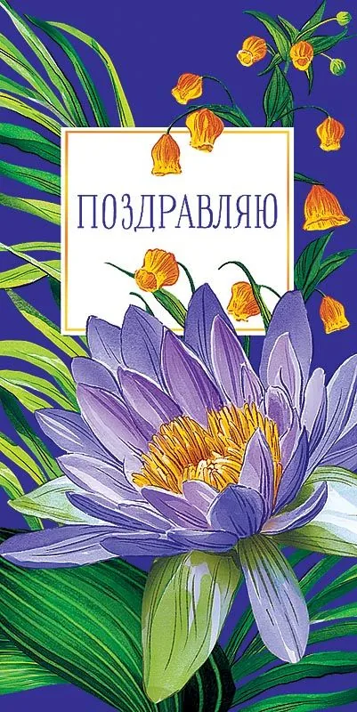 Открытка евро б/т "Поздравляю"