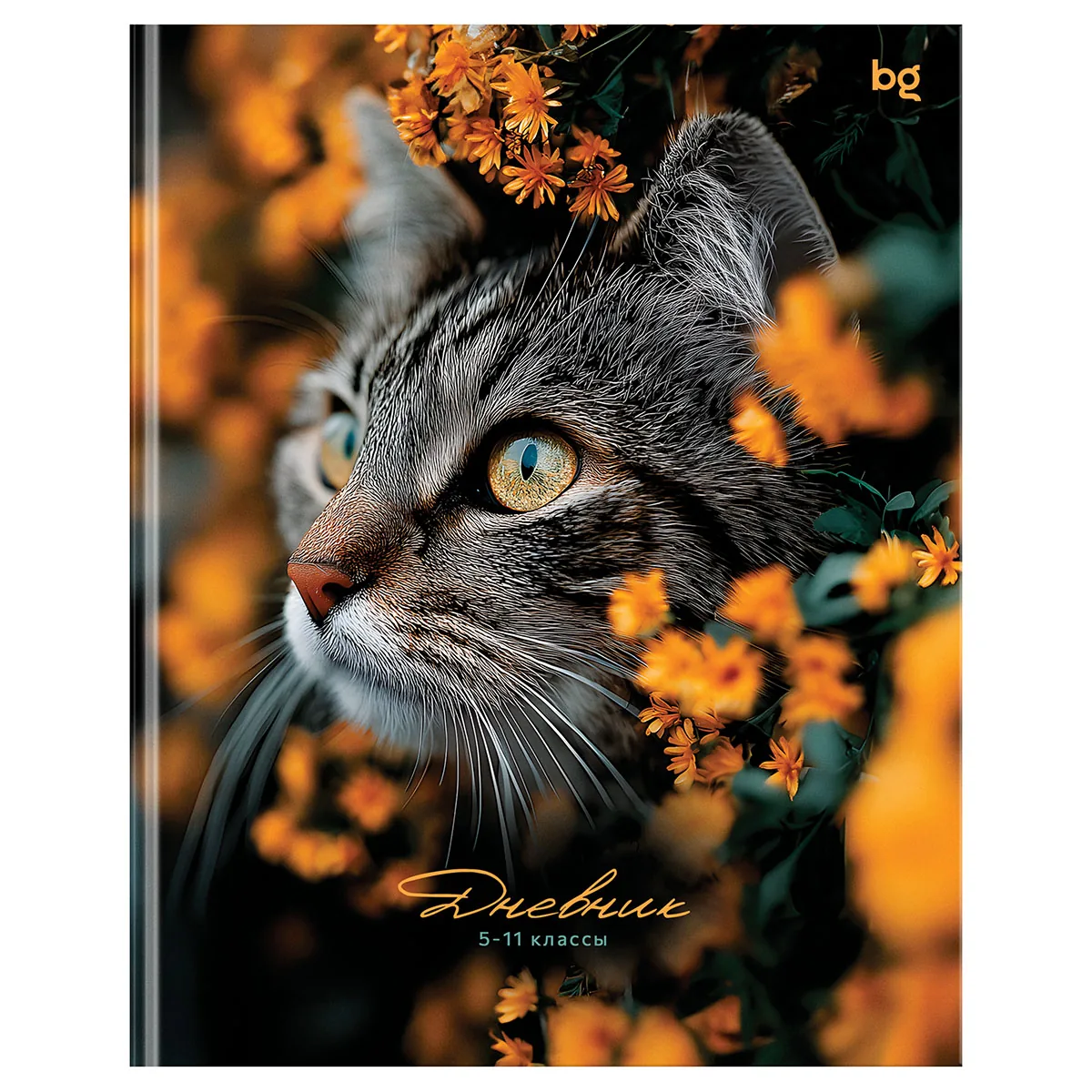 Дневник 5-11 кл., 48л., (ЛАЙТ) BG "Прятки", глянцевая ламинация