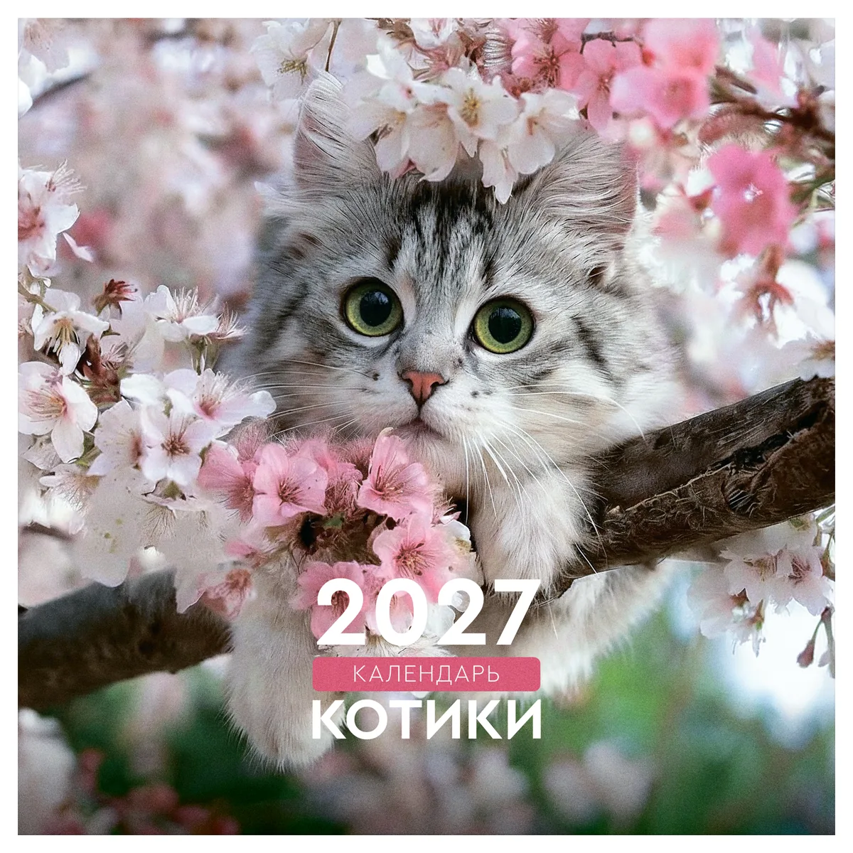 Календарь настенный перекидной на скрепке, 230*230 мм 12л. BG "Котики", 2027г.