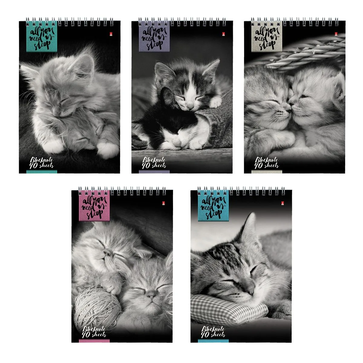 Блокнот А5  40л гребень "Кошки" клетка