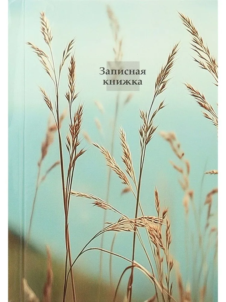 Блокнот А6 7БЦ 160л "Aesthetics - 1" кл., глянц.лам.