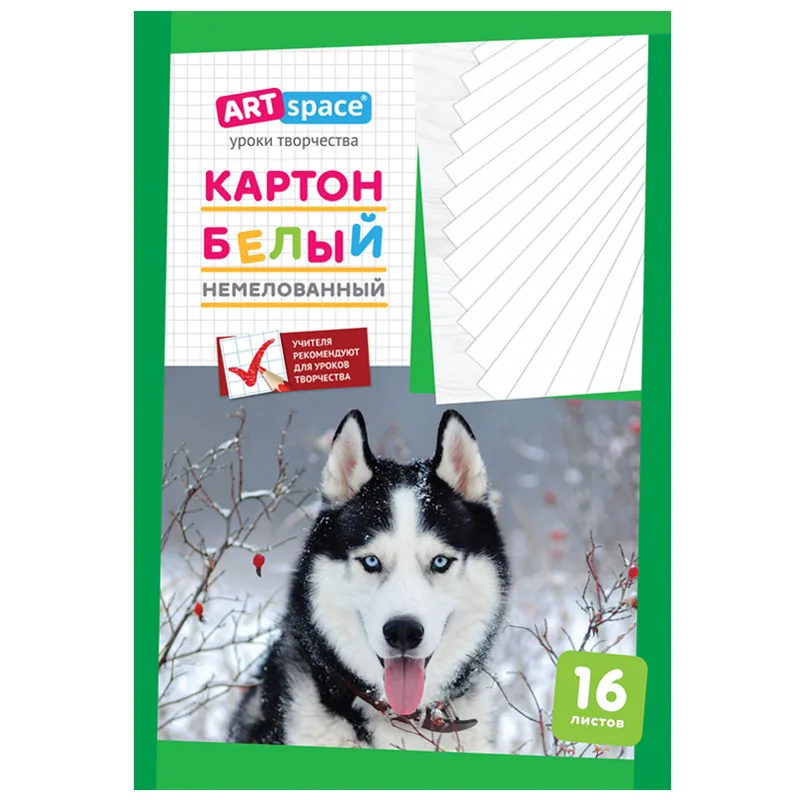 Картон белый А4, ArtSpace, 16 л., немелованный, в папке