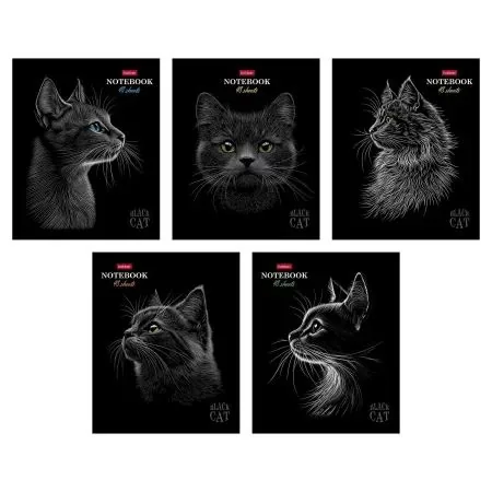 Тетрадь А5 48л кл. Hatber "Black Cat" мат.лам., 3Dлак, 5диз.в блоке