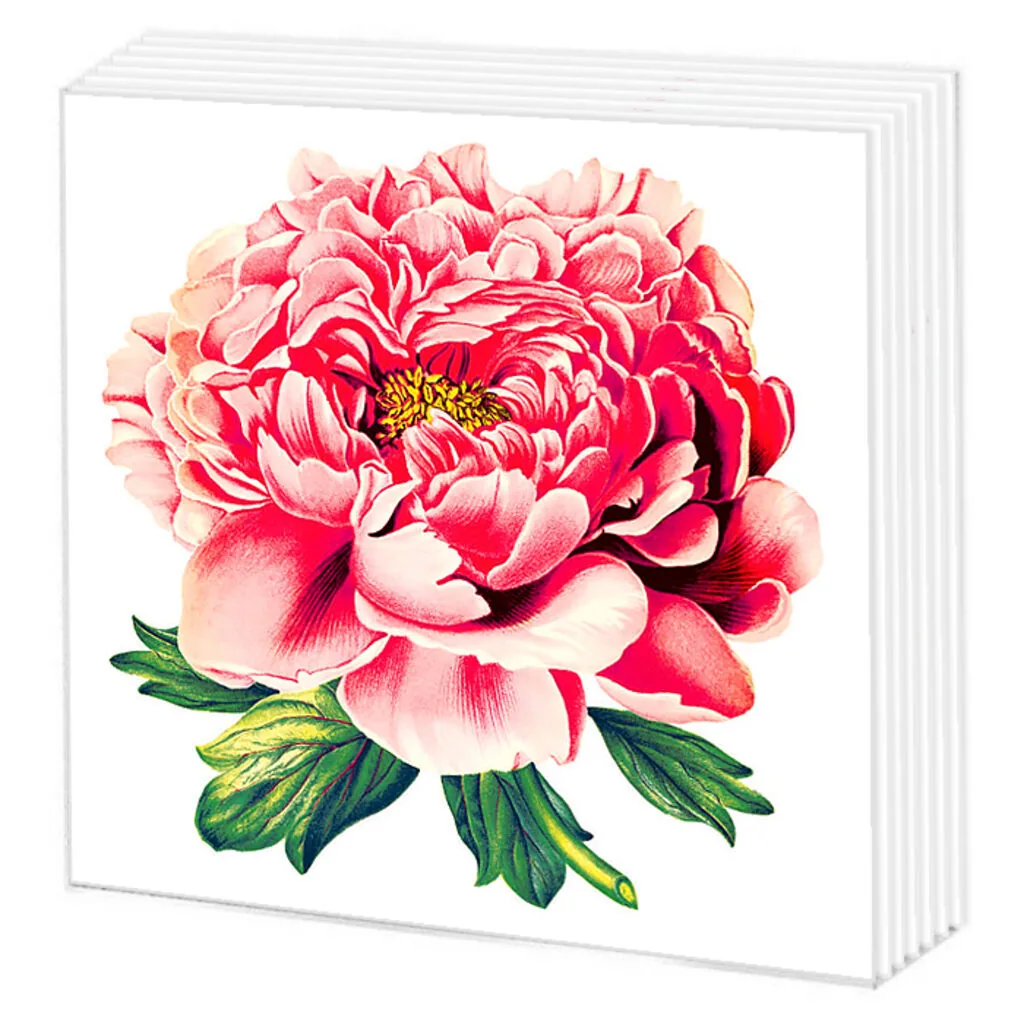 Салфетки бумажные 50л. 24*24см  Пионы, 1слой