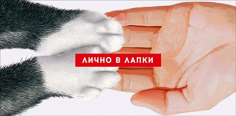 Конверт для денег "Лично в лапки"