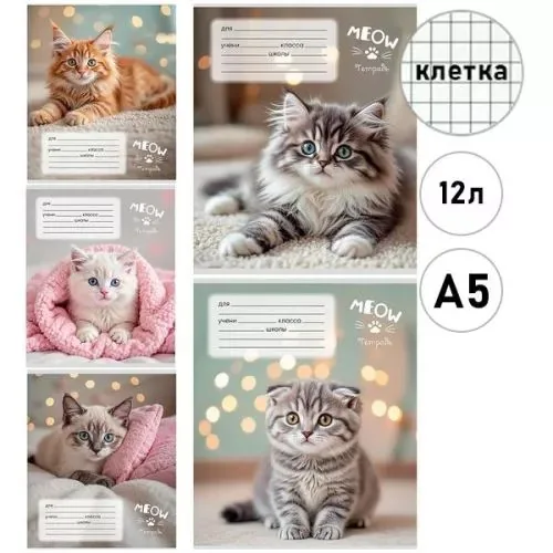 Тетрадь А5 12л кл. Проф-Пресс "Уютные котики - 6" 5 диз.в спайке